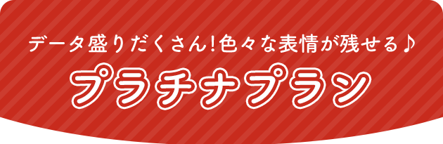 データ盛りだくさん!いろいろな表情が残せる♪プラチナプラン