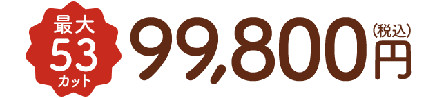 最大53カット税込99,800円