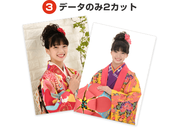 データのみ2カット