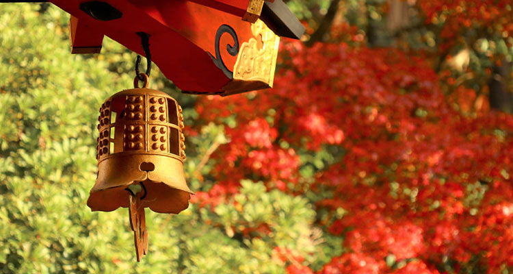 七五三の日に参拝するまでの流れは？
