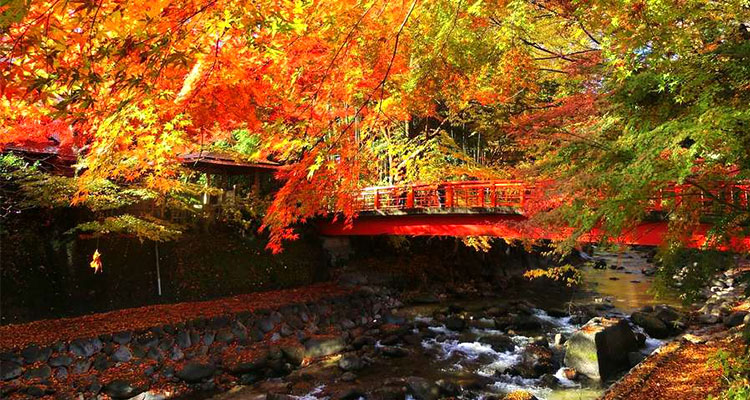 「七五三 後撮り」はいつまで?魅力と12月の七五三を成功させる秘訣