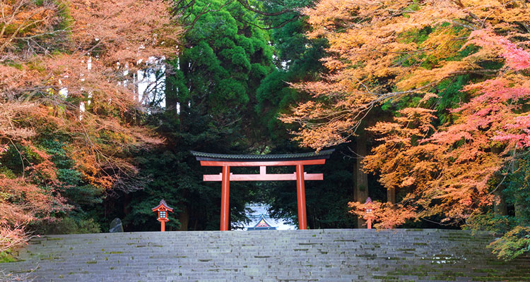 参拝する神社の選び方