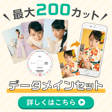 最大200カット!データメインセット